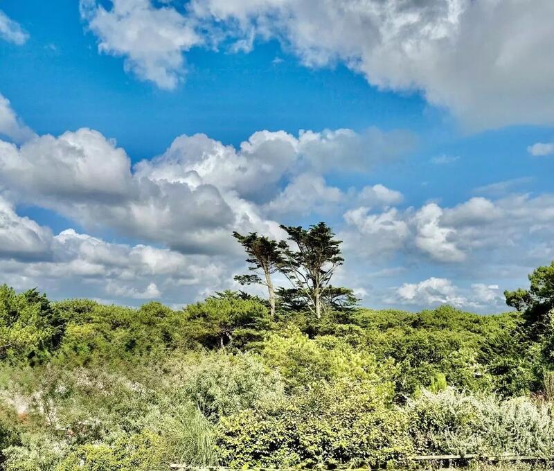 Appartement - 175 m² - 5 pièces