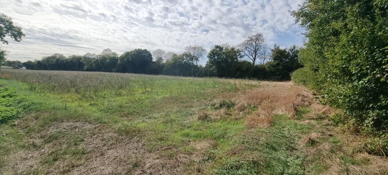 Terrain constructible - 311 m²