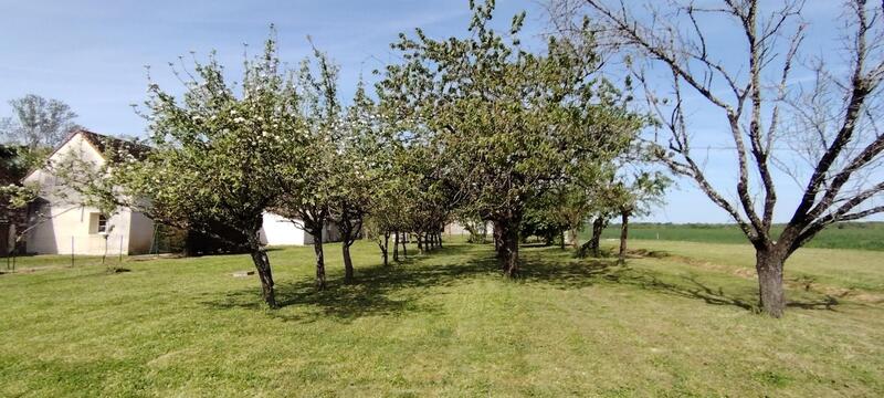 Propriété - 174 m² - 7 pièces