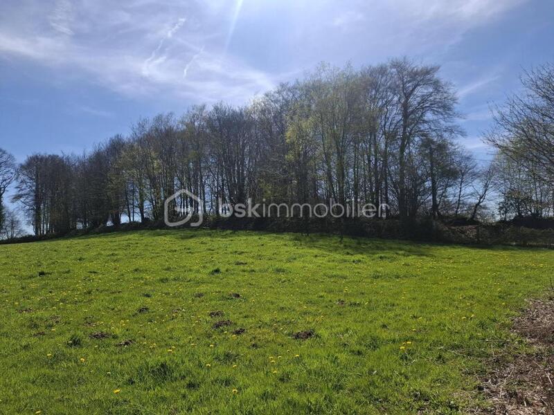 Terrain agricole - 11 860 m²