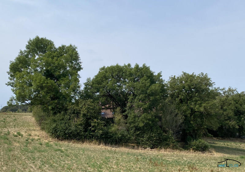 Ferme - 82 m² - 4 pièces