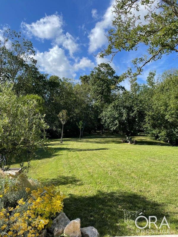 Maison ancienne - 228 m² - 6 pièces