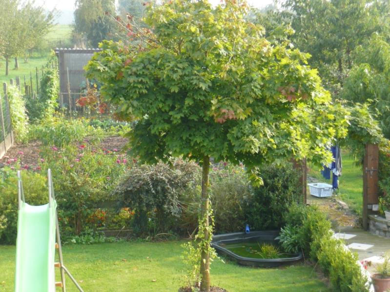 Maison - 240 m² - 12 pièces